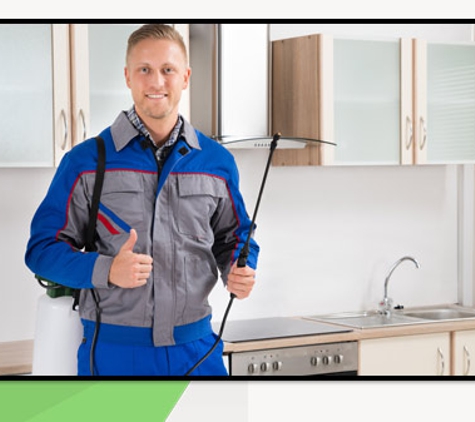Albury Wodonga Pest Control - Albury, NSW. Reliable & Effective
