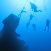 Hawaii Eco Divers & Surf Adventures gallery