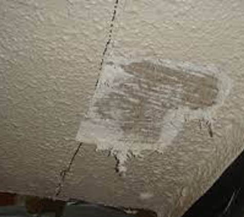 Asbestos Abatement Professionals - Portage, MI