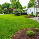 Mint Landscaping - Landscape Designers & Consultants