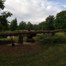 Toler Tree Service LLC - Tree Service