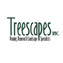 Treescapes Pruning and Removal Specialist - Arborists