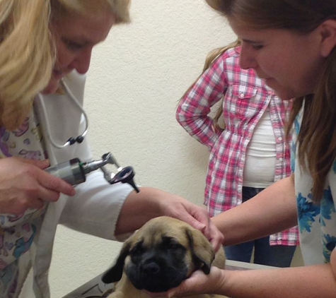 Animal Clinic At Wellington Reserve - Wellington, FL