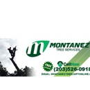 Montanez Tree Service - Tree Service