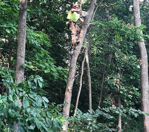 J & K Tree Services - Ackworth, IA