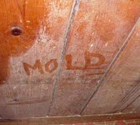 Flood Fighters - Traverse City, MI. Mold Remediation and Removal.
