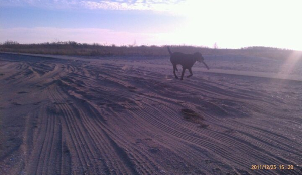 Breezy Point Surf Club - Breezy Point, NY