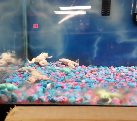 Sea Salt Petstore & More - Owens Cross Roads, AL