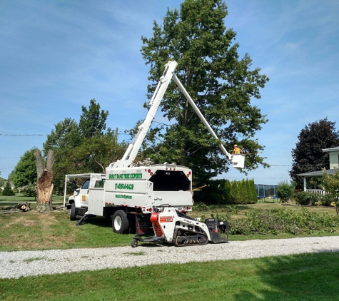 Great Dane Tree Experts & Landscaping, LLC - Ashley, OH