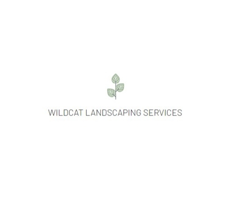 Wildcat Landscaping Services - Gilbert, AZ