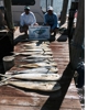 Carolina Style Sportfishing gallery