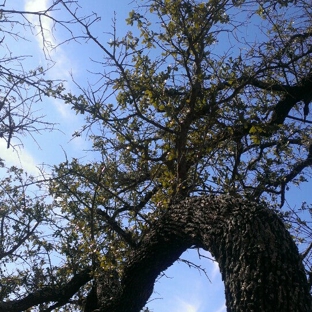 Lake Brownwood State Park - Brownwood, TX