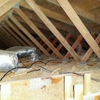 RRR Rat Removal and Insulation gallery
