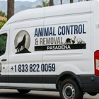 Animal Control & Removal Pasadena