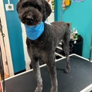 As the Fur Flies - North Austin - Pet Grooming