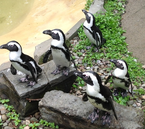 Ross Park Zoo - Binghamton, NY