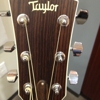 Taylor Guitars gallery
