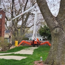 Affordable Tree Care - Man Lifts