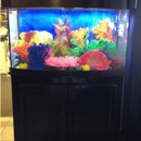 Congressional Aquarium Inc - Pet Stores