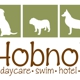 Hobnob