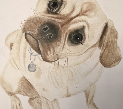 Pet Portraits by Rebecca - Hudson, FL