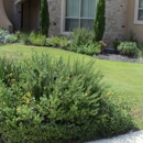 Anointed Urban Development LLC - Landscape Designers & Consultants