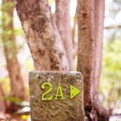 Gallery Image Number 1