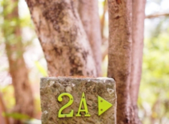 Shiatsu Massage Therapy by Clare Doube - Hunters Hill, NSW