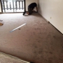 Reliable Carpet, Inc.