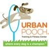 Urban Pooch Training and Fitness Center gallery