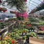 Paquette Full of Posies Nursery