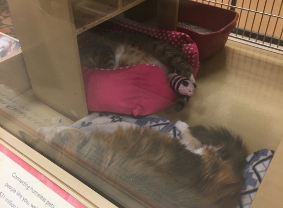 PetSmart - Leominster, MA