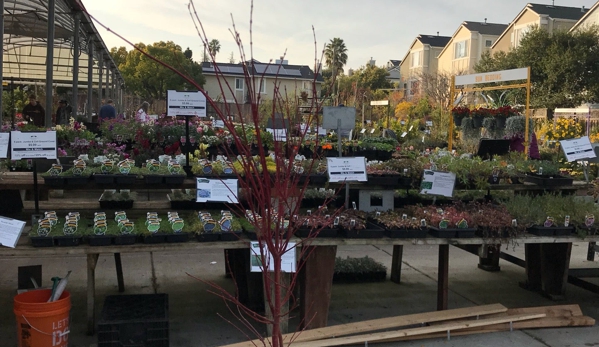 Yamagami's Nursery - Cupertino, CA