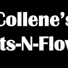 Collene's Crafts-N-Flowers