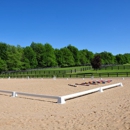 Morgenstern Farm - Horse Training