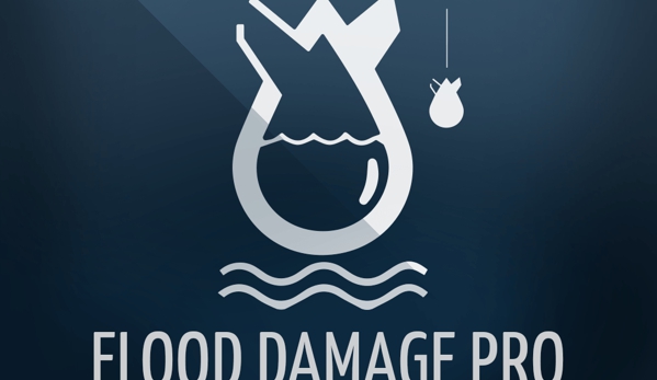 Flood Damage Pro - Alexandria, VA