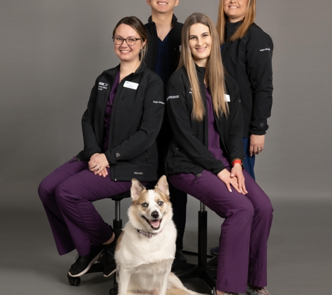 VCA Animal Referral and Emergency Center of Arizona - Mesa, AZ