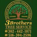 3 Brothers Tree Service - Tree Service