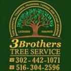 3 Brothers Tree Service