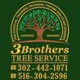 3 Brothers Tree Service