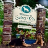 Select K9's gallery