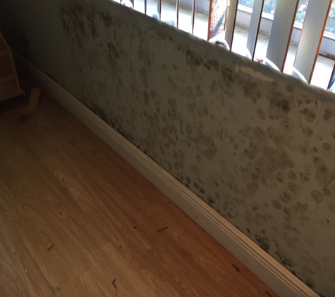 National Home Inspection & Mold Services - Boynton Beach, FL. How could he have missed this????