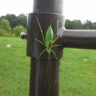 Tom Triplett Community Park - Pooler, GA