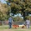 The Pet Hospitals-Lakeland gallery