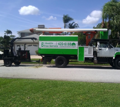 Brian's Quality Tree Service , LLC - Saint Petersburg, FL