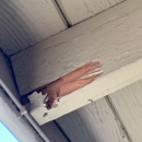 Termike Pest Control - Pest Control Services