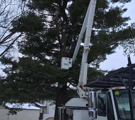 Wes' Tree Service - Oregon, IL