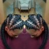 Provocative Braids gallery