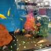 Petco gallery