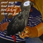 Hope Fly's: Bird Service & Care